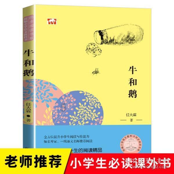 彼得比尔特379拼图